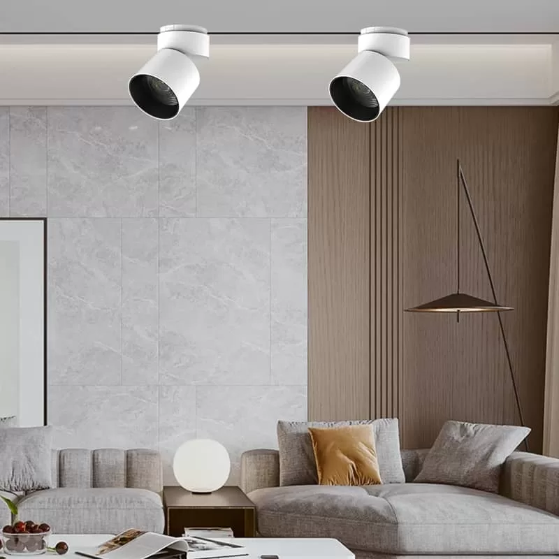 Ultra-Slim Cylindrical Rotatable Magnetic Track Downlight TH3003A-E1-80