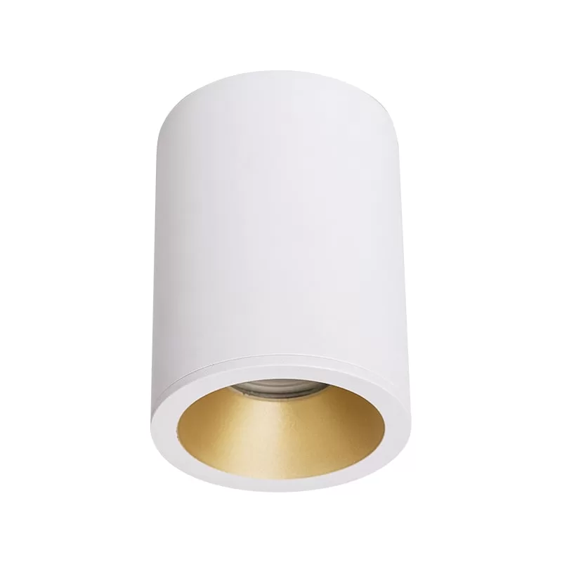 IP65 Ceiling Mounted Spotlight TS5089B