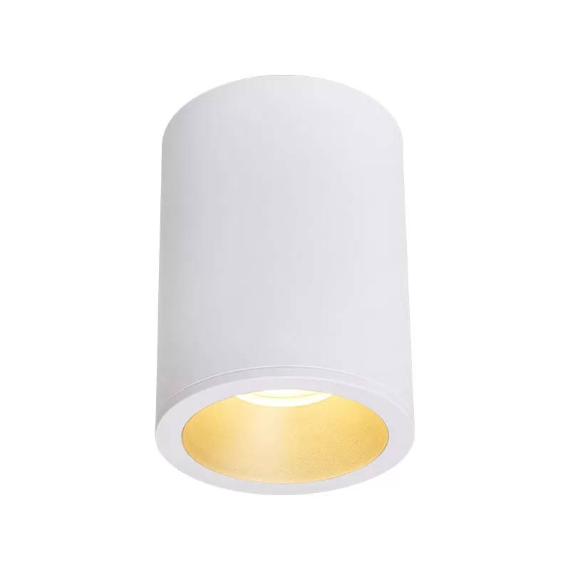 IP65 Ceiling Mounted Spotlight TS5089B