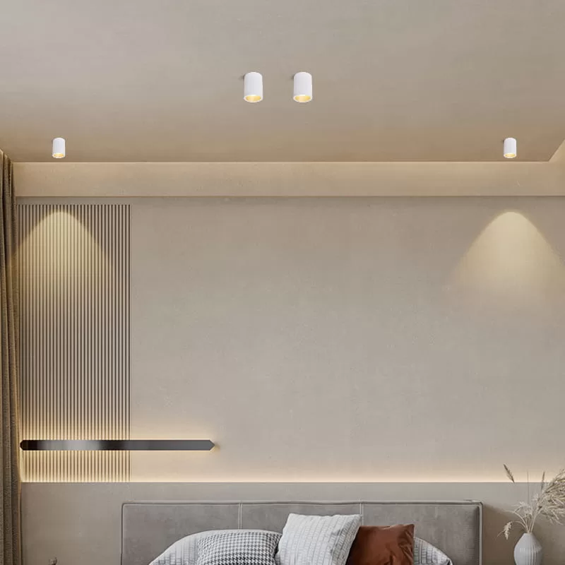 IP65 Ceiling Mounted Spotlight TS5089B