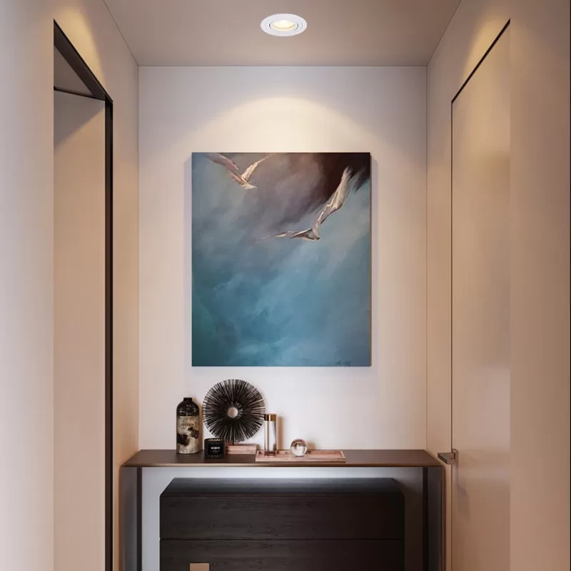 3 inch Round Adjustable LED Downlight TS5166