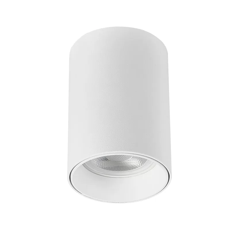 White / Black / Silver Grey / Rose Gold Ceiling Mounted Spotlight TS5180