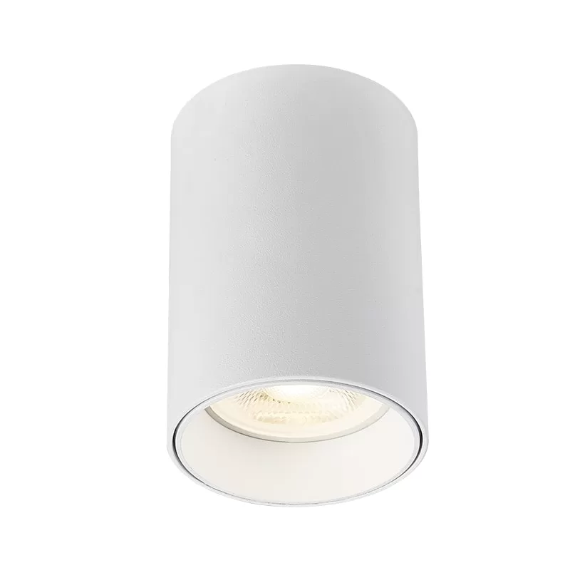 White / Black / Silver Grey / Rose Gold Ceiling Mounted Spotlight TS5180