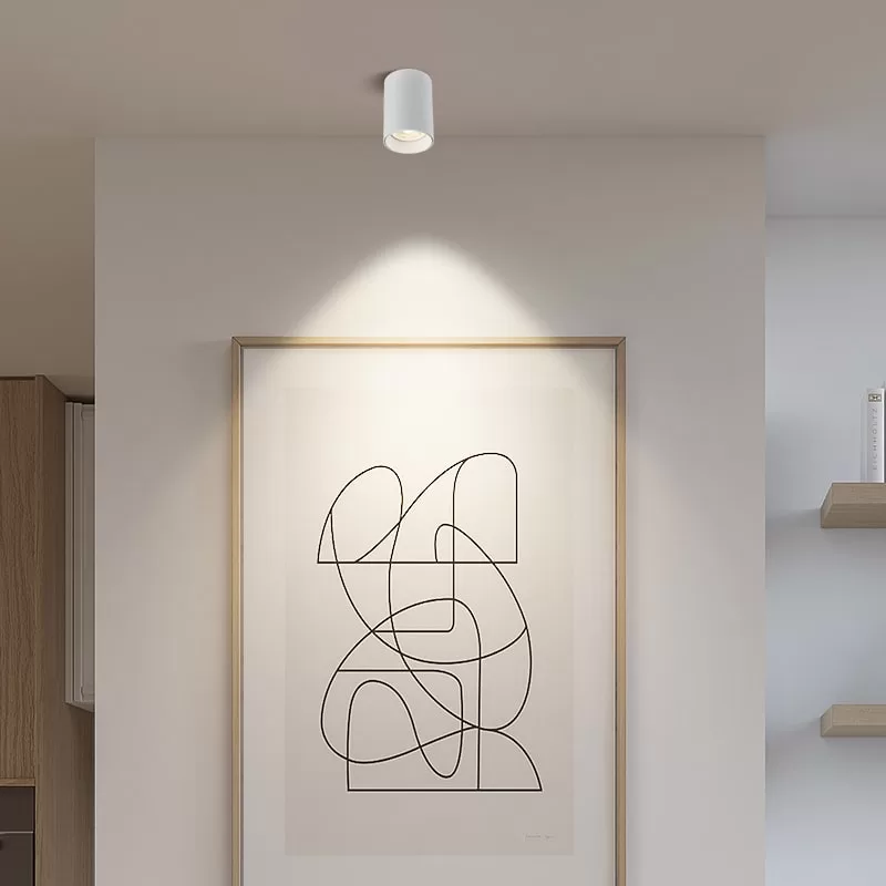 White / Black / Silver Grey / Rose Gold Ceiling Mounted Spotlight TS5180