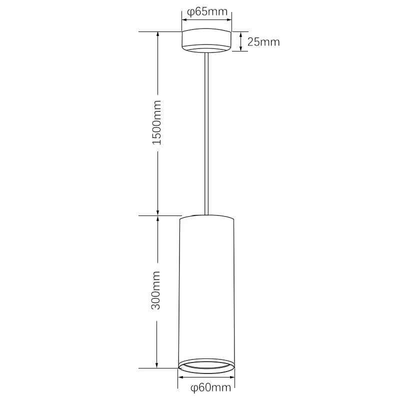 Modern LED Pendant Light TS5188