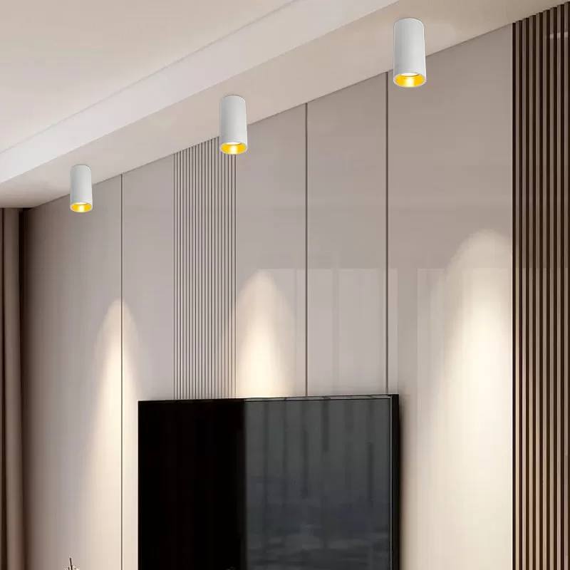 Low Voltage Anti-Glare LED Spotlight TS5303B