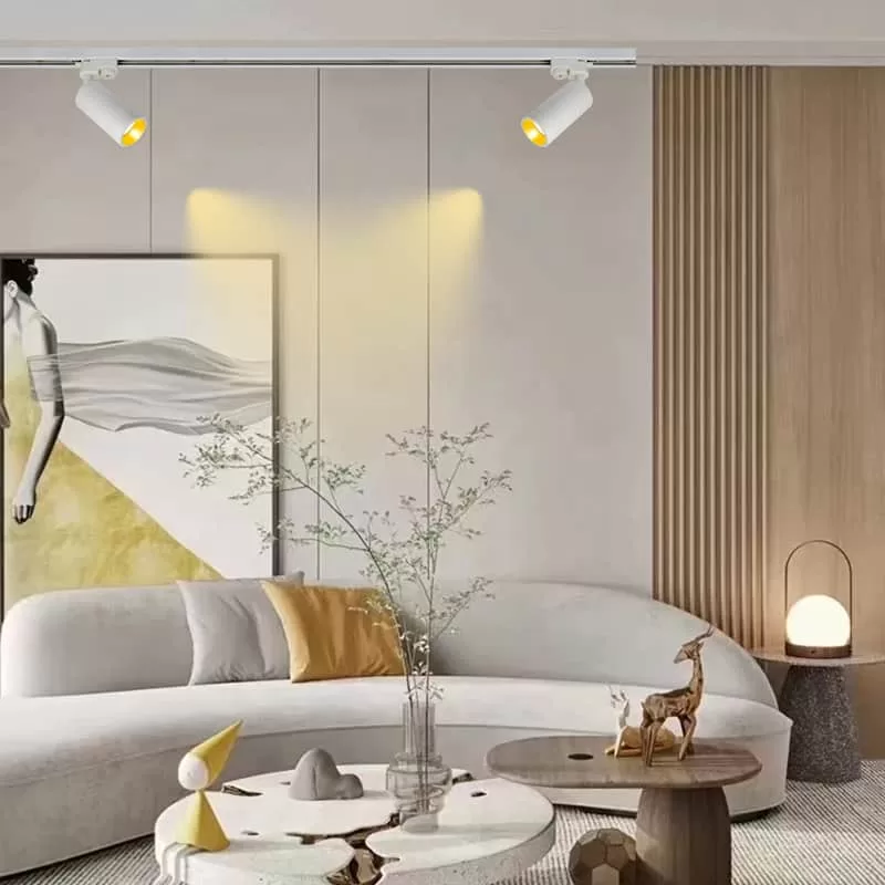 Adjustable LED Track Light TS5304B