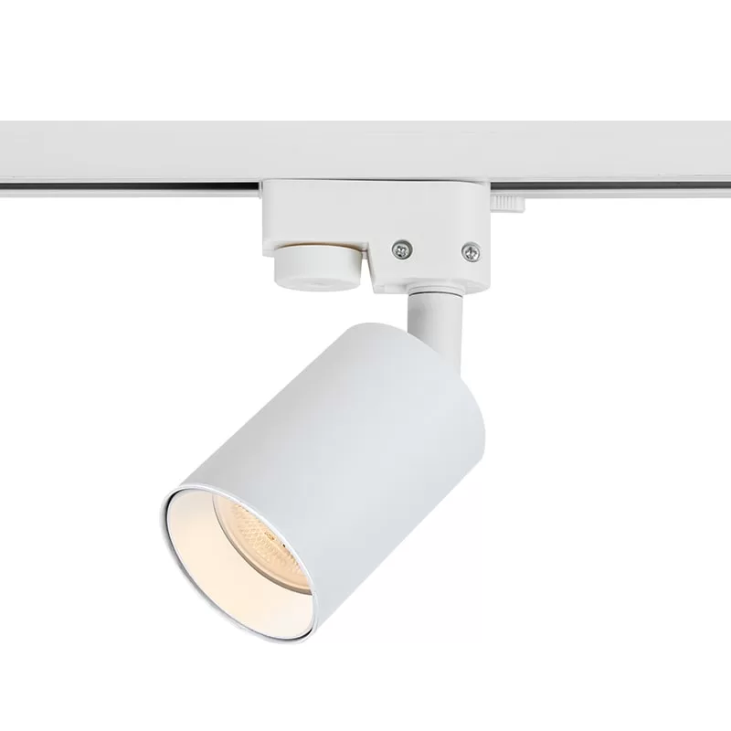 Mini Ceiling Mount Track Light TS5319B