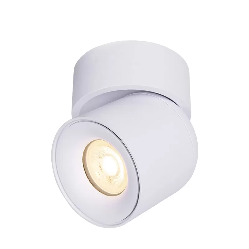 Dimmable Adjustable LED Spotlight TS5668