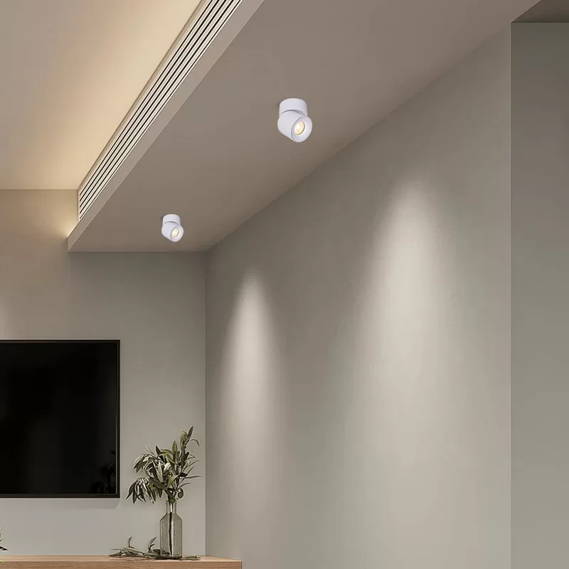 Dimmable Adjustable LED Spotlight TS5668