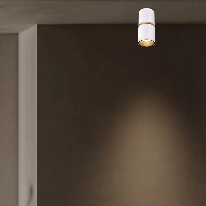 High-End Multi-Color LED Spotlight TS5858