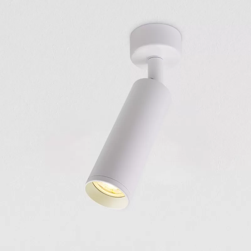 Surface Mounted LED Pendant Light TS5980