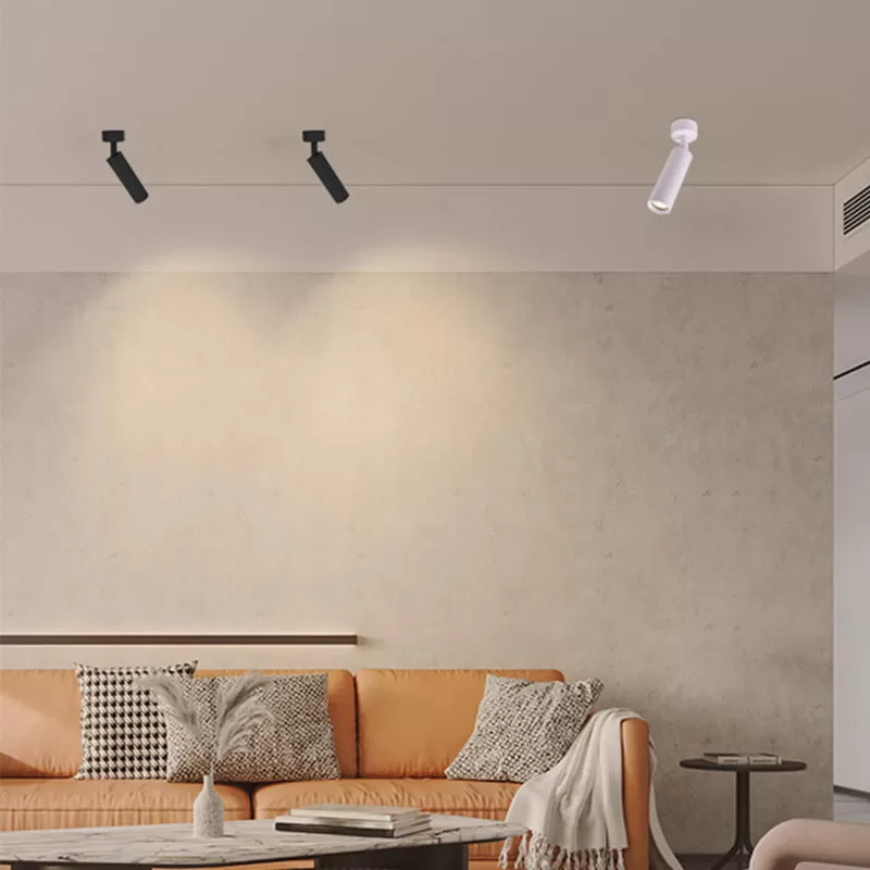 Surface Mounted LED Pendant Light TS5980