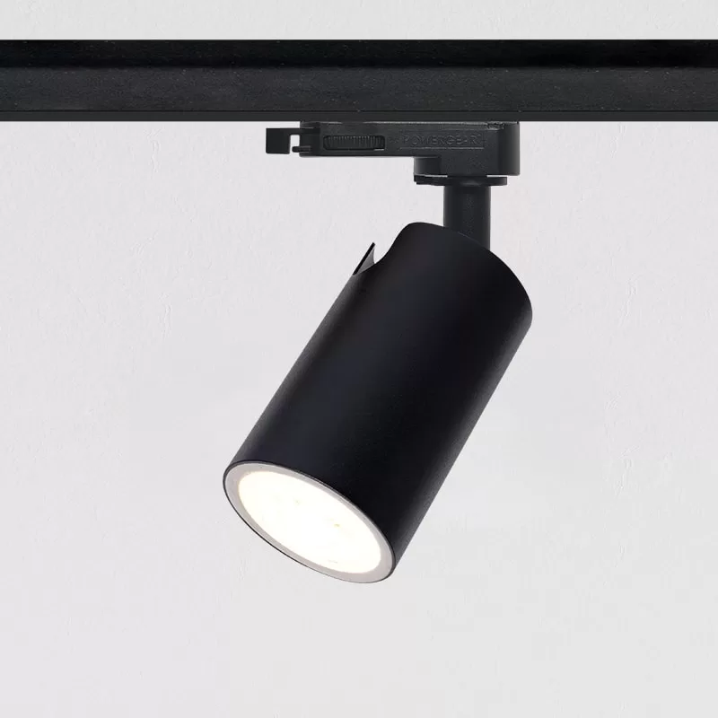 2 Wire Dimmable Track Light TS5929-O-G