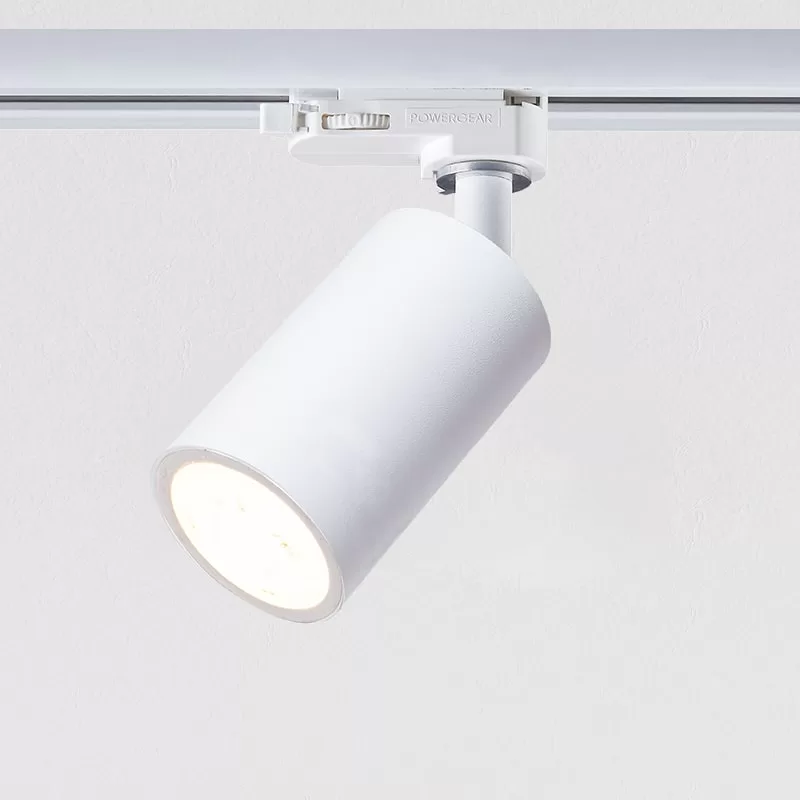 2 Wire Dimmable Track Light TS5929-O-G