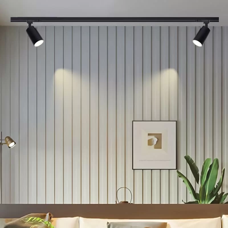 2 Wire Dimmable Track Light TS5929-O-G