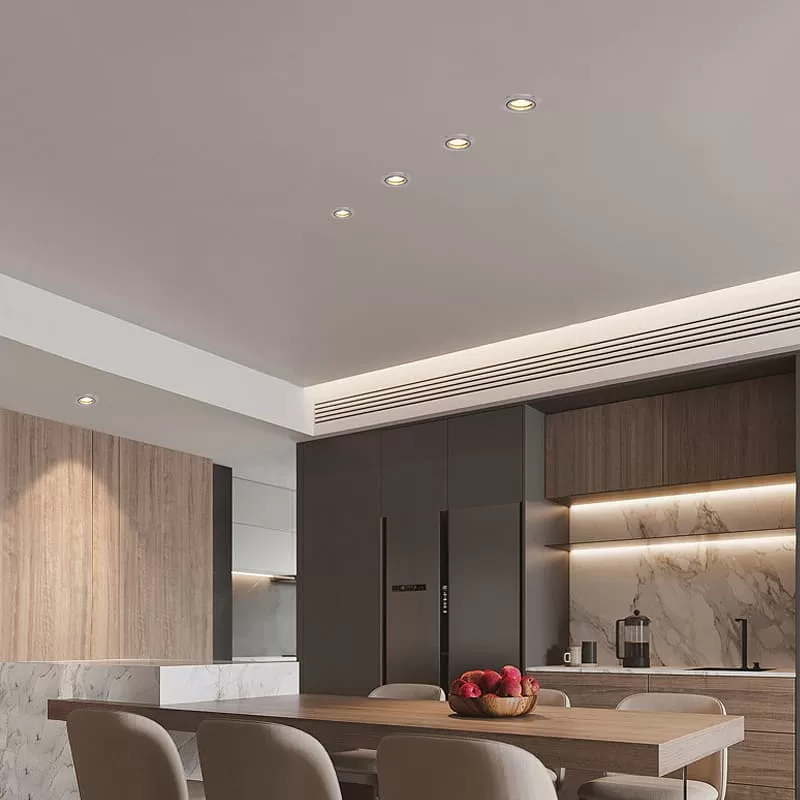 Adjustable Recessed LED Can Light TS6186