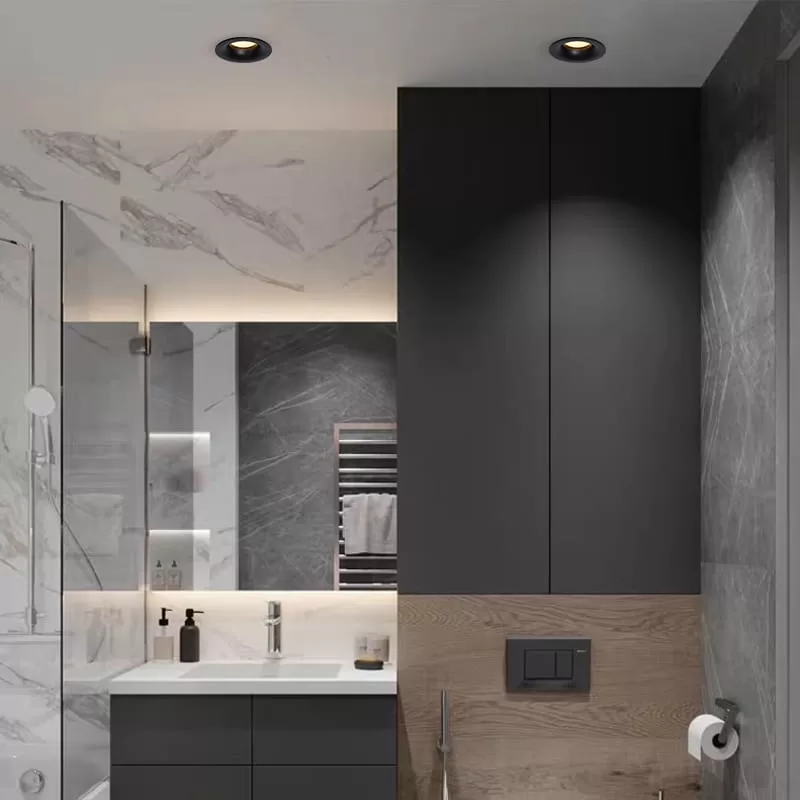 IP65 Bathroom Ceiling Downlight TS6901