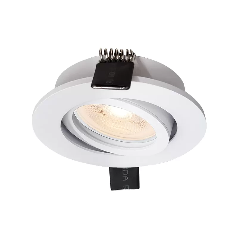 Round Adjustable Downlight TS8068