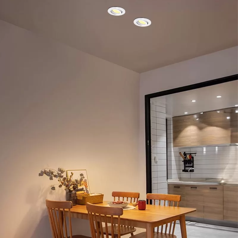 Round Adjustable Downlight TS8068