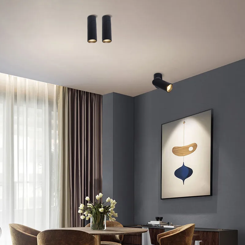 Adjustable Surface Mounted Spotlight TS5325