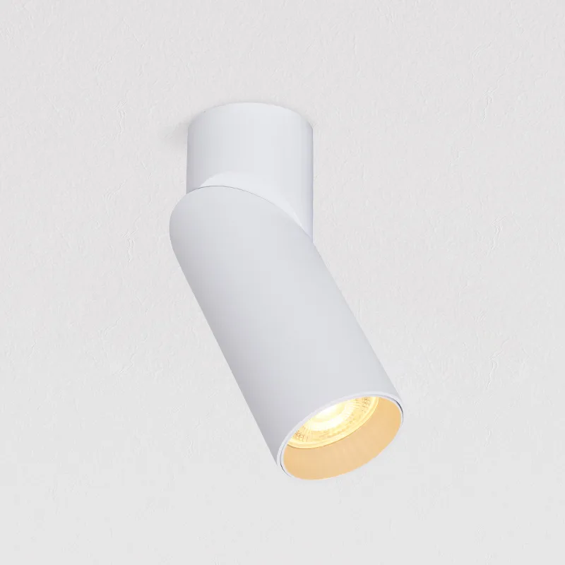 Adjustable Surface Mounted Spotlight TS5325