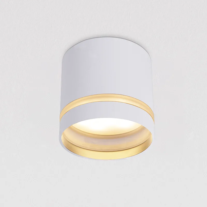 Fixed Surface Mounted Spotlight TS5806