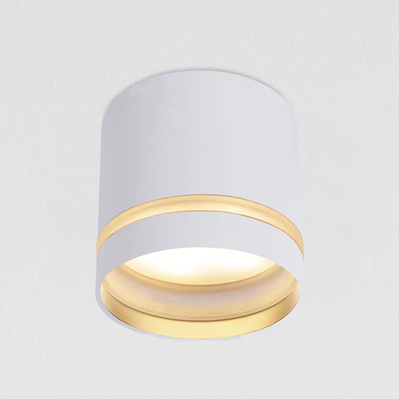 Waterproof Surface Mounted Spotlight TS5896