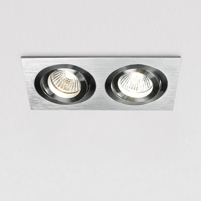 Double-Head Recessed Downlight TS5002