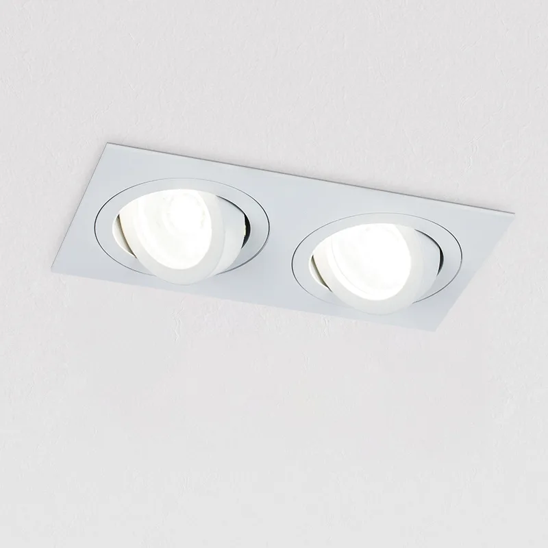 Double Head Aluminum Recessed Downlight TS5168