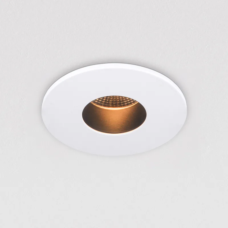 Dimmable LED downlight TS6979