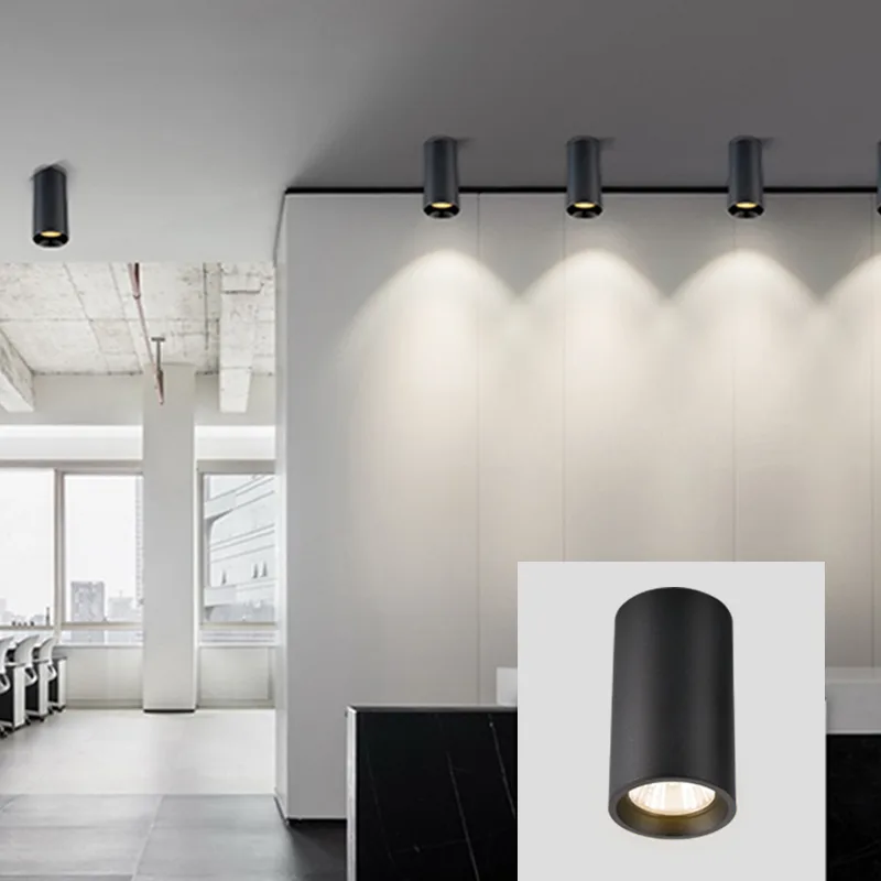 CE/RoHS Certified Surface Mounted Spotlight TS5081