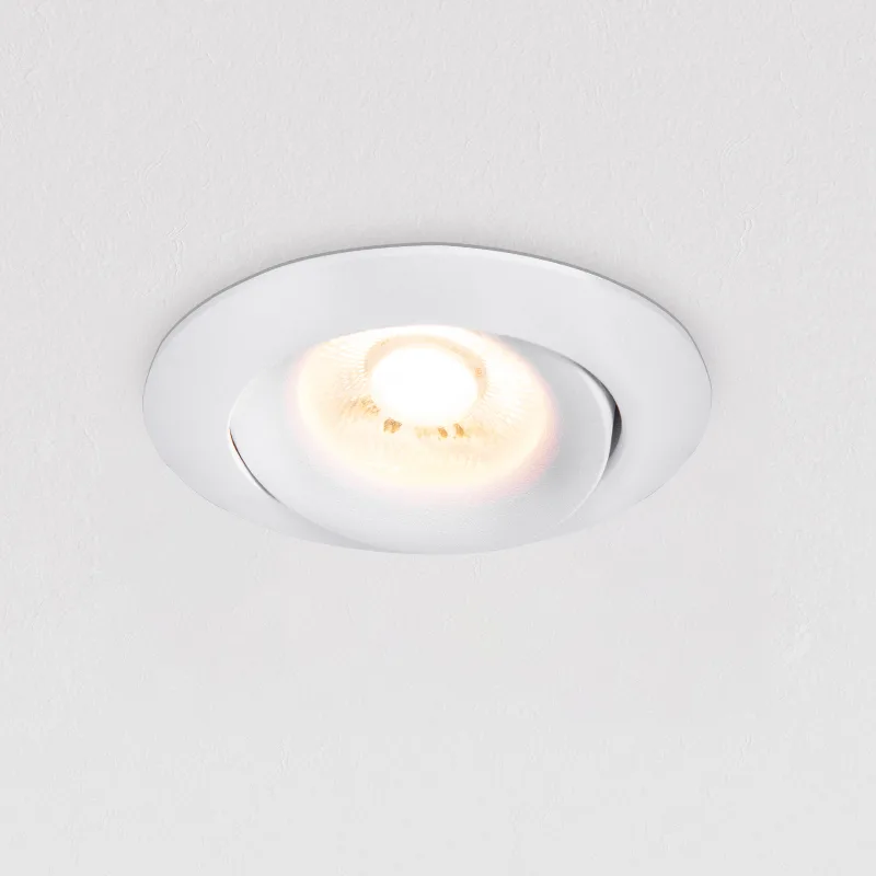 Embedded Adjustable Downlight TS8065